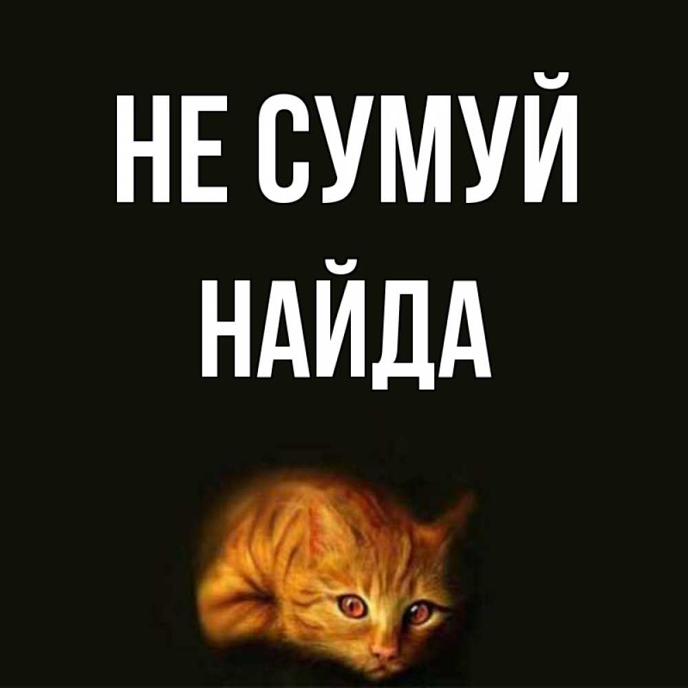 Открытка на каждый день з підписом, Найда Не сумуй лежащий кот в темноте Прикольна листівка з побажанням онлайн скачати безкоштовно 