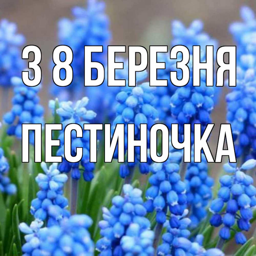 Открытка на каждый день з підписом, Пестиночка З 8 БЕРЕЗНЯ Поздравительная открытка для женщин с цветами на праздничную дату Прикольна листівка з побажанням онлайн скачати безкоштовно 