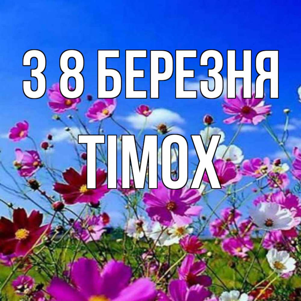 Открытка на каждый день з підписом, Тімох З 8 БЕРЕЗНЯ цветы Прикольна листівка з побажанням онлайн скачати безкоштовно 