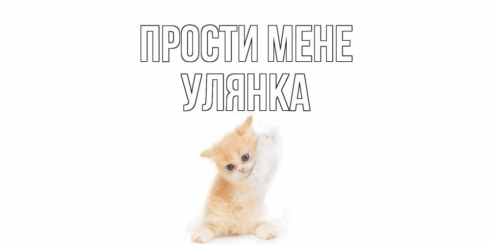 Открытка на каждый день з підписом, Улянка Прости мене кот Прикольна листівка з побажанням онлайн скачати безкоштовно 