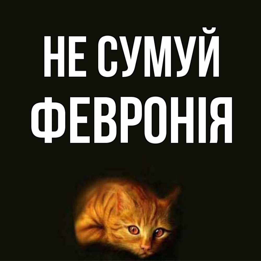 Открытка на каждый день з підписом, Февронія Не сумуй лежащий кот в темноте Прикольна листівка з побажанням онлайн скачати безкоштовно 