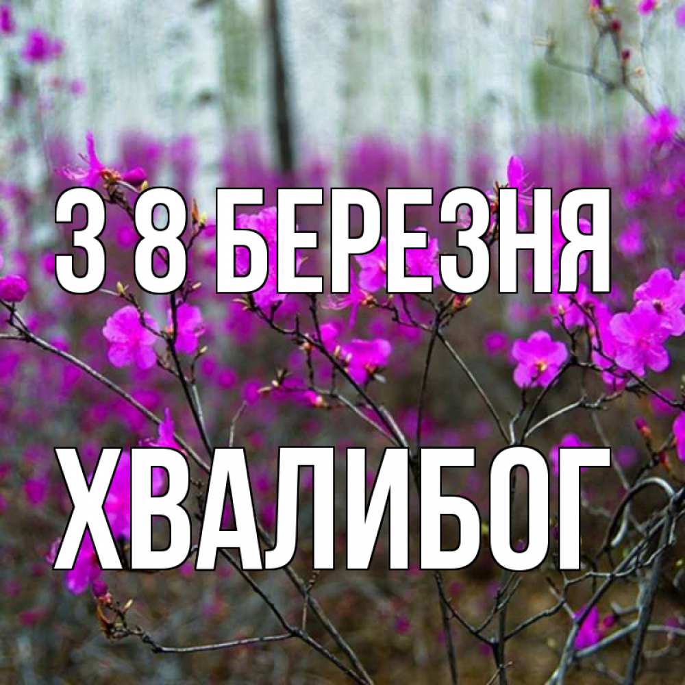 Открытка на каждый день з підписом, Хвалибог З 8 БЕРЕЗНЯ дикие цветы Прикольна листівка з побажанням онлайн скачати безкоштовно 