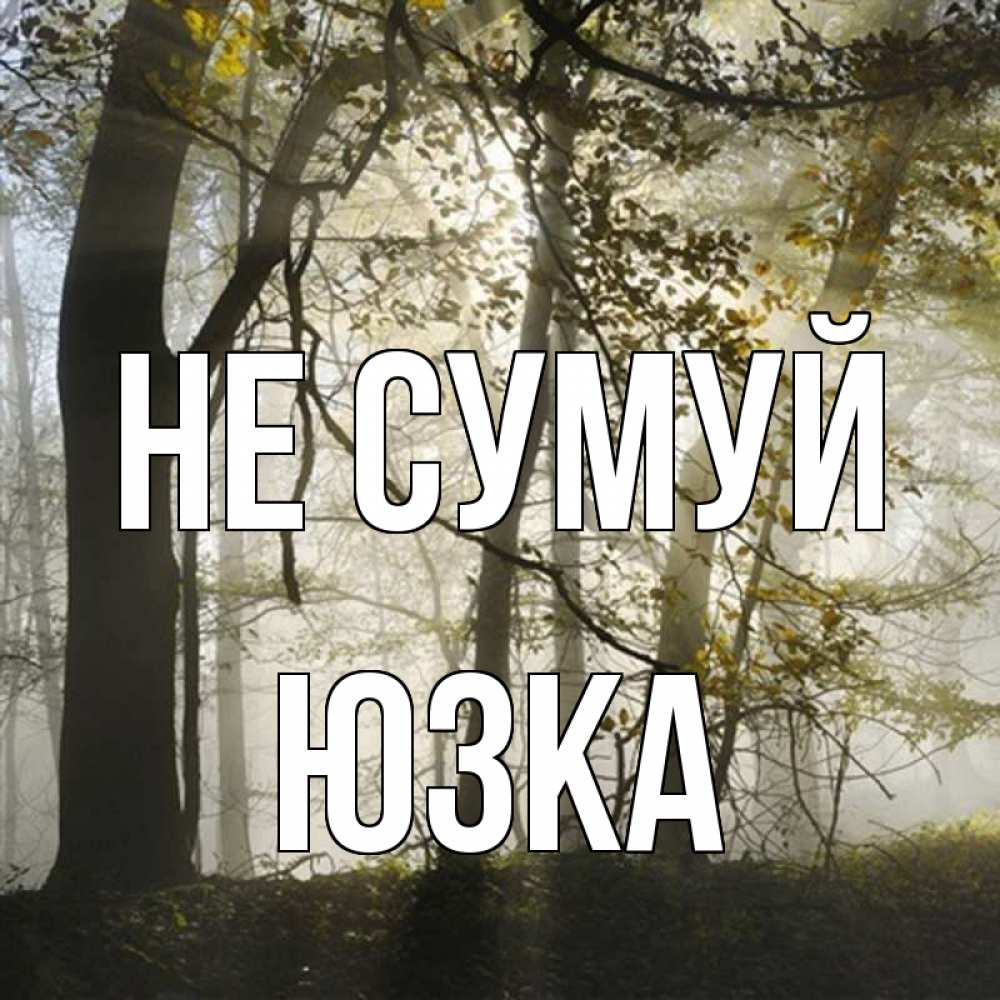 Открытка на каждый день з підписом, Юзка Не сумуй лес и свет Прикольна листівка з побажанням онлайн скачати безкоштовно 