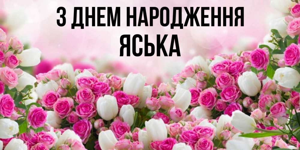 Открытка на каждый день з підписом, Яська З Днем народження открытка с разными розами Прикольна листівка з побажанням онлайн скачати безкоштовно 