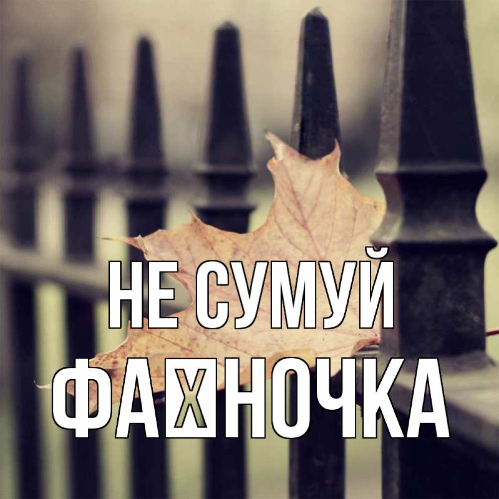 Открытка на каждый день з підписом, Фаїночка Не сумуй лист клена Прикольна листівка з побажанням онлайн скачати безкоштовно 