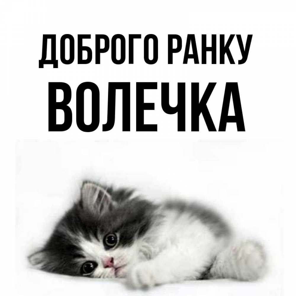 Открытка на каждый день з підписом, Волечка Доброго ранку кот лапки Прикольна листівка з побажанням онлайн скачати безкоштовно 