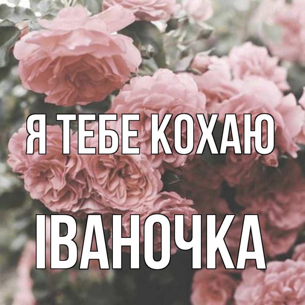 Открытка на каждый день з підписом, Іваночка Я тебе кохаю розы 3 Прикольна листівка з побажанням онлайн скачати безкоштовно 