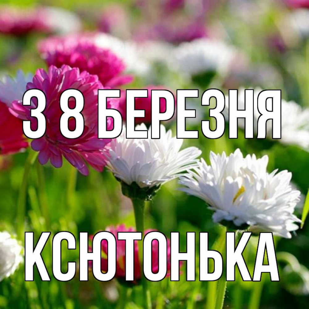 Открытка на каждый день з підписом, Ксютонька З 8 БЕРЕЗНЯ международный женский день 1 Прикольна листівка з побажанням онлайн скачати безкоштовно 