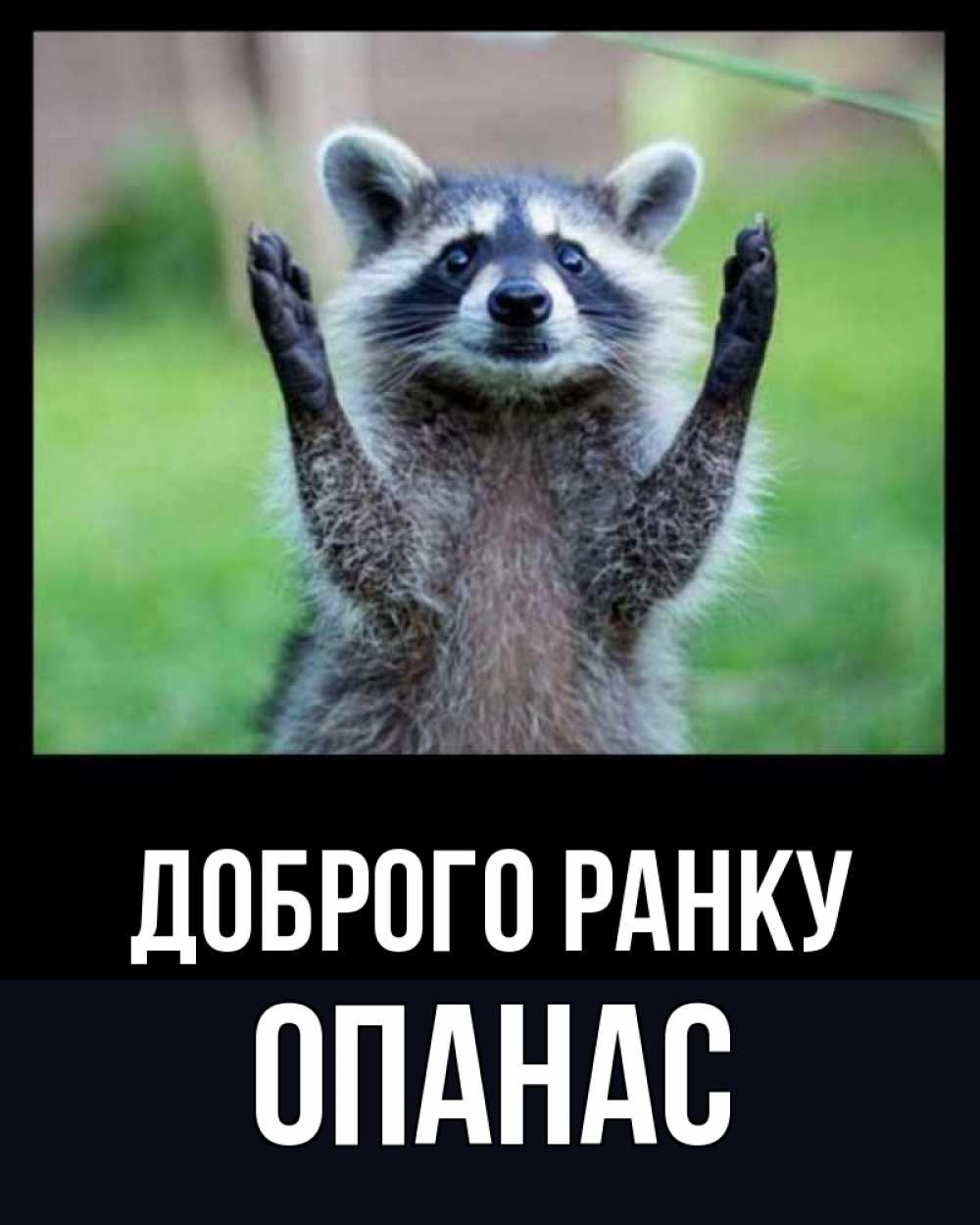 Открытка на каждый день з підписом, Опанас Доброго ранку хорошее настроение утречком Прикольна листівка з побажанням онлайн скачати безкоштовно 