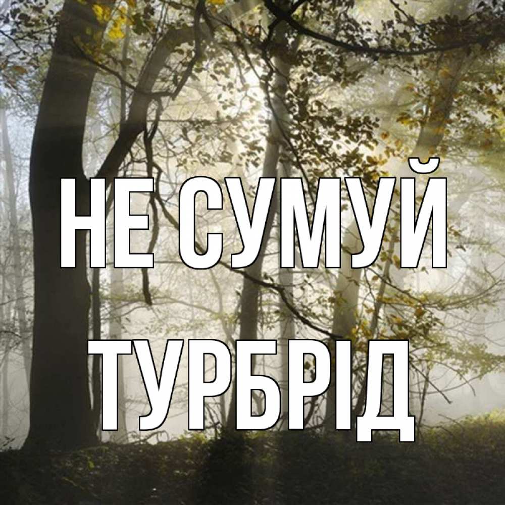 Открытка на каждый день з підписом, Турбрід Не сумуй лес и свет Прикольна листівка з побажанням онлайн скачати безкоштовно 