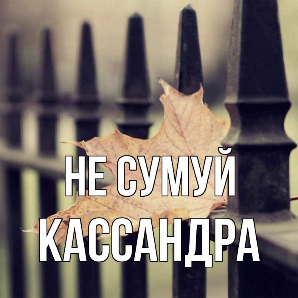 Открытка на каждый день з підписом, Кассандра Не сумуй лист клена Прикольна листівка з побажанням онлайн скачати безкоштовно 