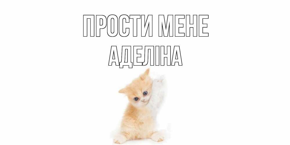 Открытка на каждый день з підписом, Аделіна Прости мене кот Прикольна листівка з побажанням онлайн скачати безкоштовно 