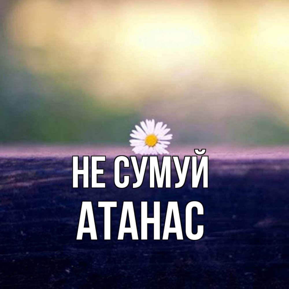 Открытка на каждый день з підписом, Атанас Не сумуй красота Прикольна листівка з побажанням онлайн скачати безкоштовно 