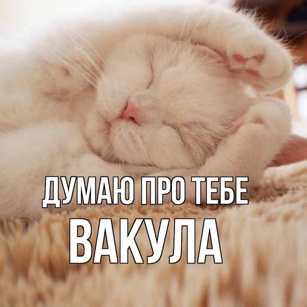 Открытка на каждый день з підписом, Вакула Думаю про тебе для любимой девушки милота Прикольна листівка з побажанням онлайн скачати безкоштовно 