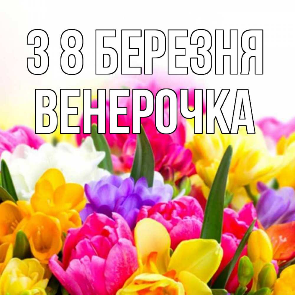 Открытка на каждый день з підписом, Венерочка З 8 БЕРЕЗНЯ тюльпаны Прикольна листівка з побажанням онлайн скачати безкоштовно 