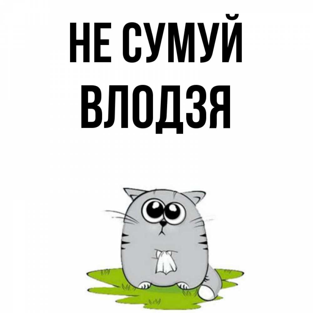 Открытка на каждый день з підписом, Влодзя Не сумуй грустный котяра Прикольна листівка з побажанням онлайн скачати безкоштовно 