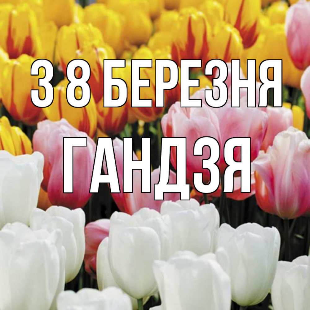 Открытка на каждый день з підписом, Гандзя З 8 БЕРЕЗНЯ разноцветные цветы Прикольна листівка з побажанням онлайн скачати безкоштовно 
