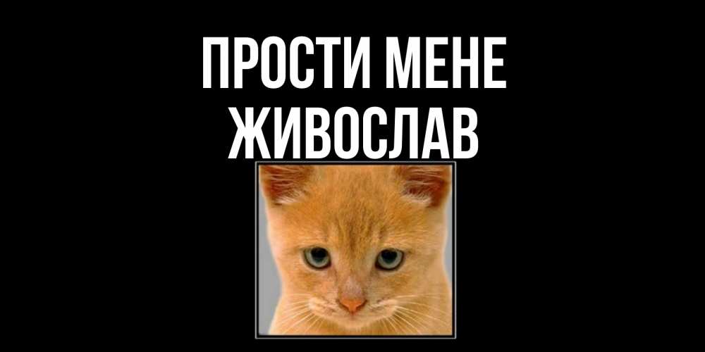 Открытка на каждый день з підписом, Живослав Прости мене рыжий грустный кот просит прощения Прикольна листівка з побажанням онлайн скачати безкоштовно 