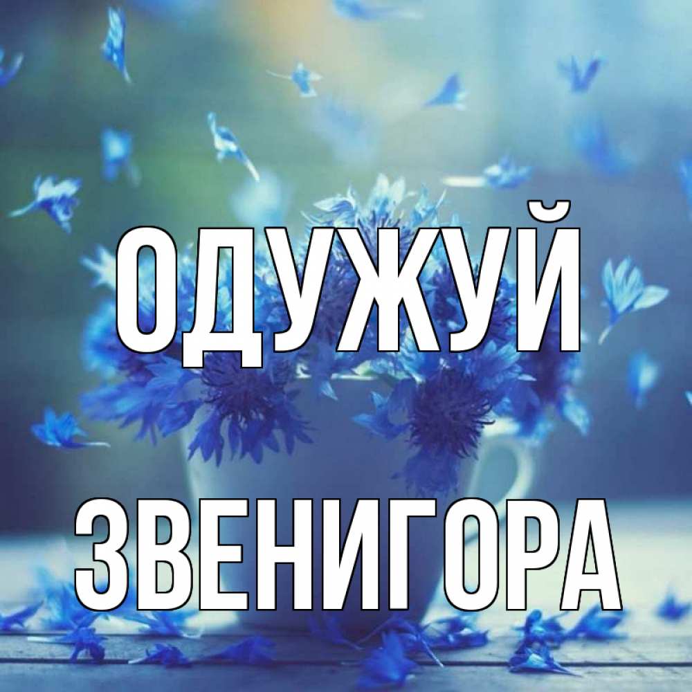 Открытка на каждый день з підписом, Звенигора Одужуй кружка с зельем и цветами Прикольна листівка з побажанням онлайн скачати безкоштовно 
