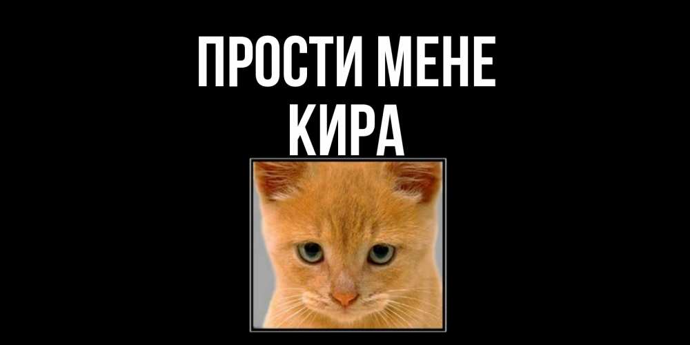 Открытка на каждый день з підписом, Кира Прости мене рыжий грустный кот просит прощения Прикольна листівка з побажанням онлайн скачати безкоштовно 