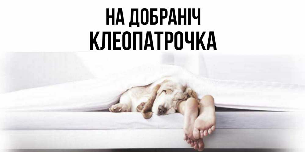 Открытка на каждый день з підписом, Клеопатрочка На добраніч кровать с собакой пожелание сладких снов и спокойной ночи Прикольна листівка з побажанням онлайн скачати безкоштовно 