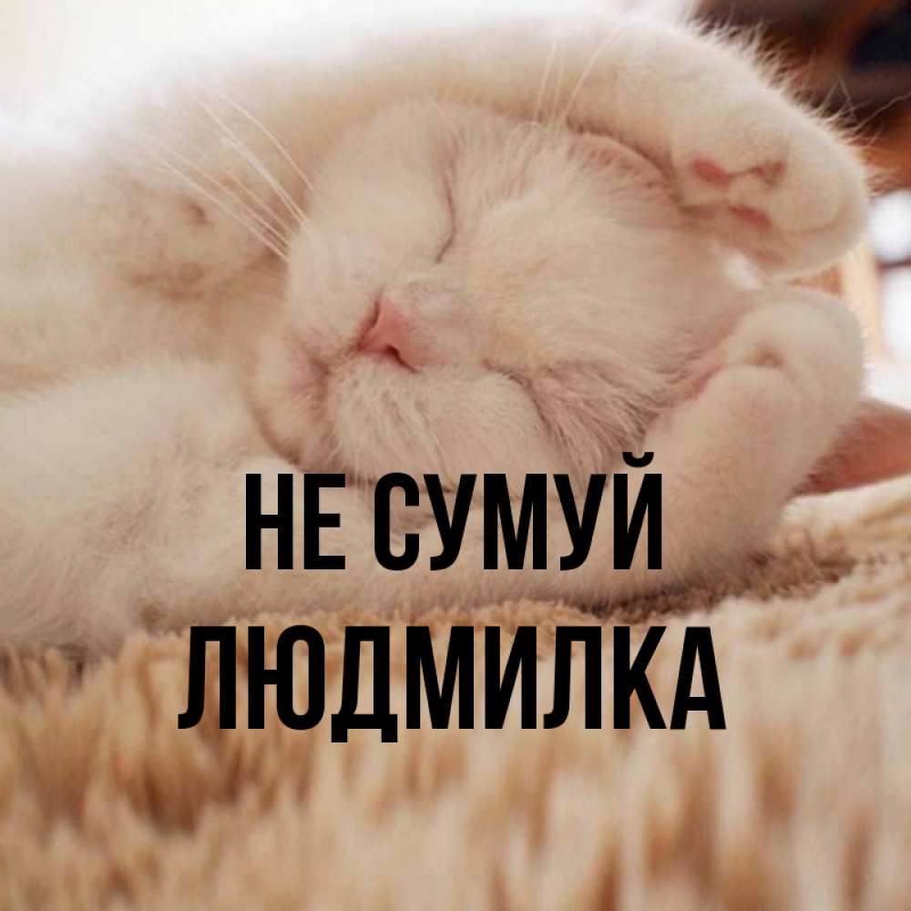 Открытка на каждый день з підписом, Людмилка Не сумуй Котенок спит Прикольна листівка з побажанням онлайн скачати безкоштовно 