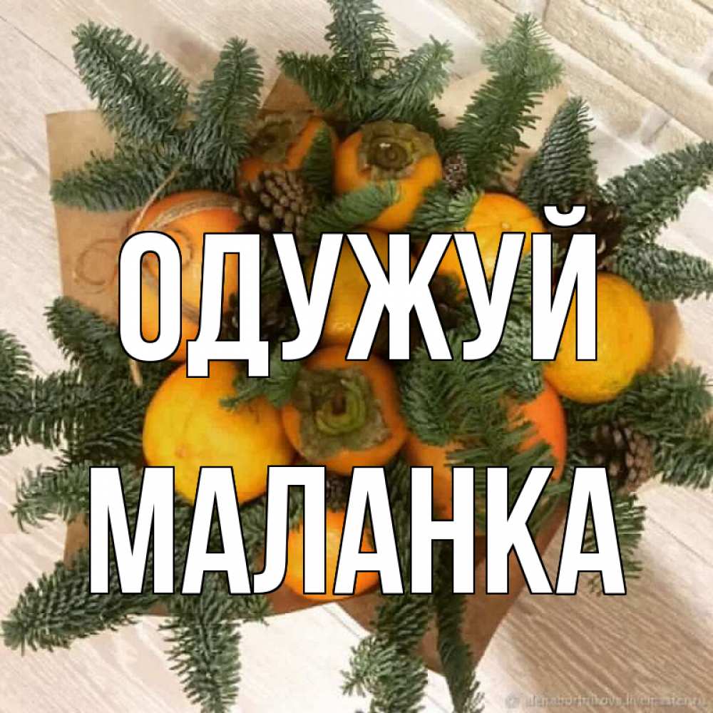 Открытка на каждый день з підписом, Маланка Одужуй апельсины и хурьма Прикольна листівка з побажанням онлайн скачати безкоштовно 