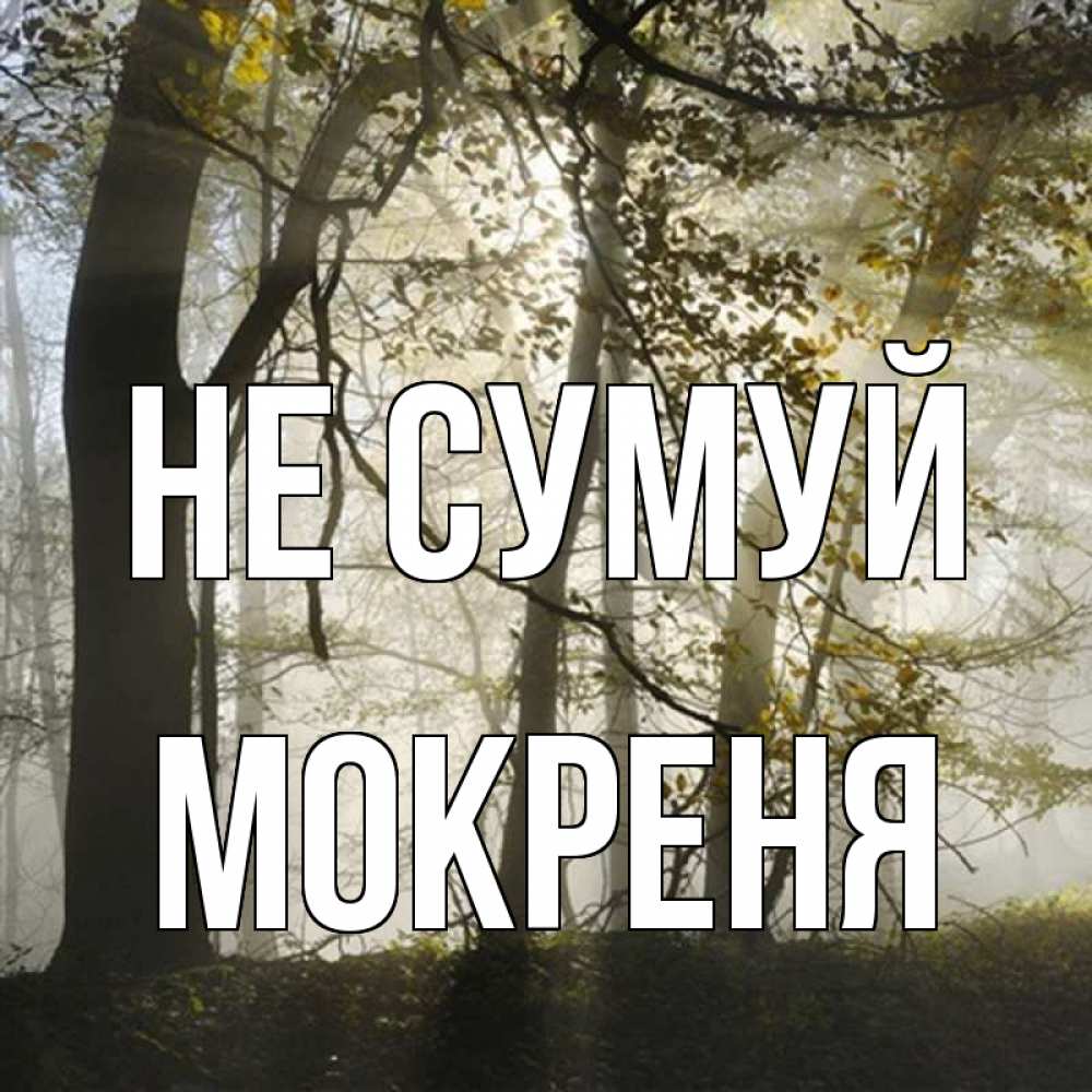Открытка на каждый день з підписом, Мокреня Не сумуй лес и свет Прикольна листівка з побажанням онлайн скачати безкоштовно 