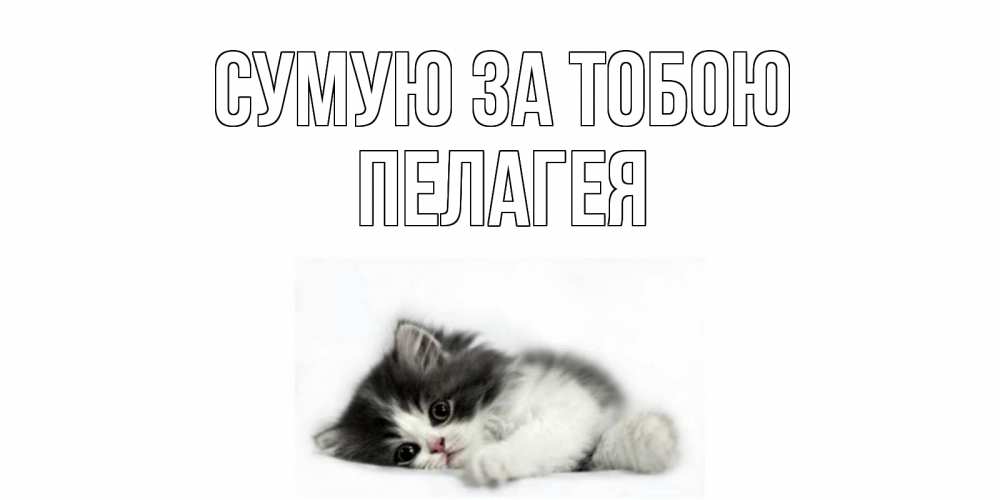 Открытка на каждый день з підписом, Пелагея Сумую за тобою кот, скука Прикольна листівка з побажанням онлайн скачати безкоштовно 