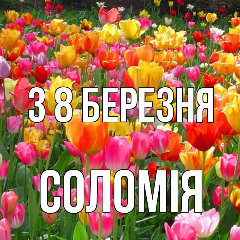 Открытка на каждый день з підписом, Соломія З 8 БЕРЕЗНЯ на международный женский день Прикольна листівка з побажанням онлайн скачати безкоштовно 