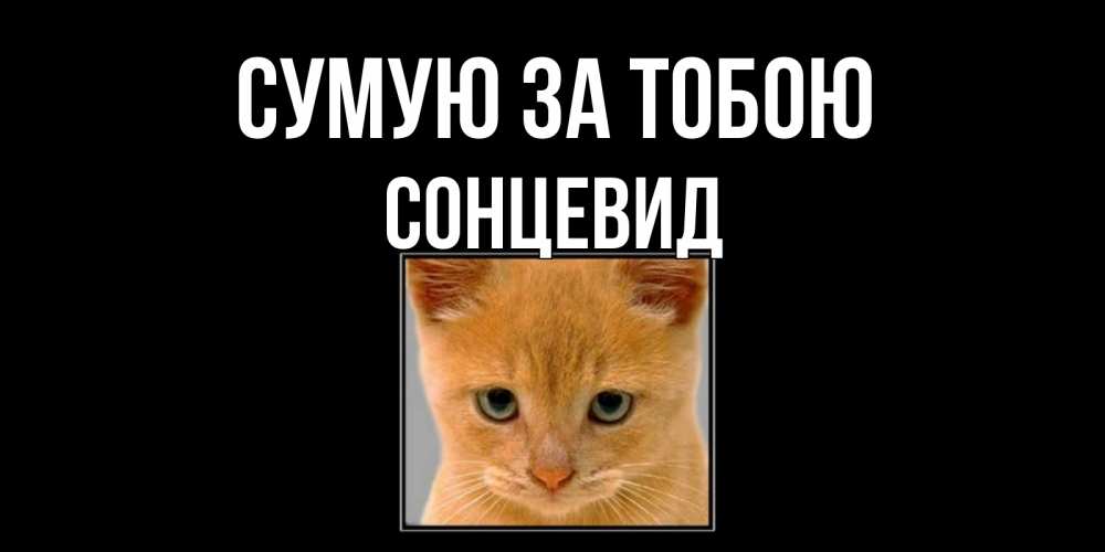 Открытка на каждый день з підписом, Сонцевид Сумую за тобою открытки рыжий котенок скучает по тебе Прикольна листівка з побажанням онлайн скачати безкоштовно 