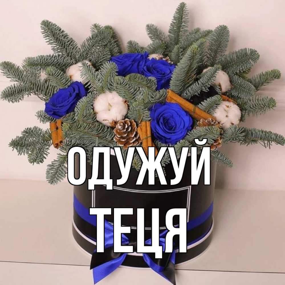 Открытка на каждый день з підписом, Теця Одужуй короче кто то загрузил эти шишки Прикольна листівка з побажанням онлайн скачати безкоштовно 