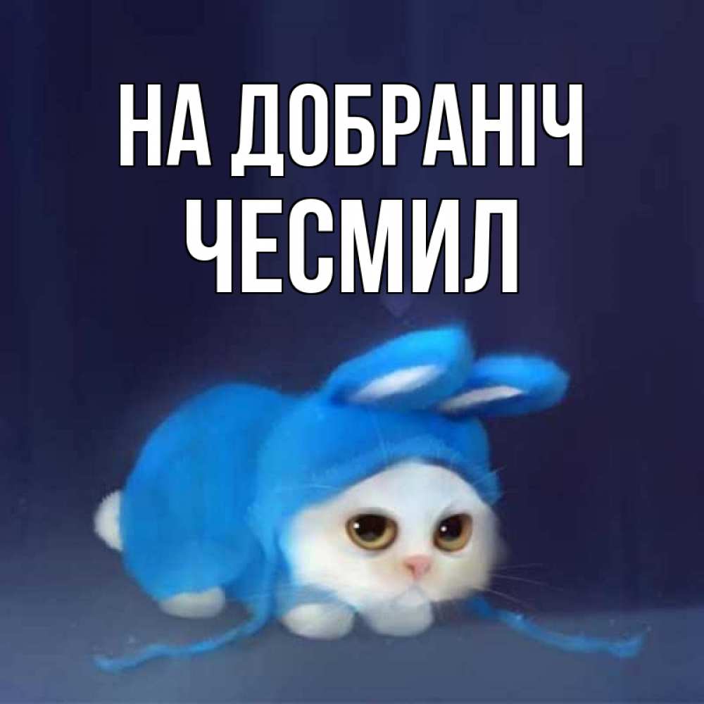 Открытка на каждый день з підписом, Чесмил На добраніч кот в голубом костюме кролика с ушками Прикольна листівка з побажанням онлайн скачати безкоштовно 