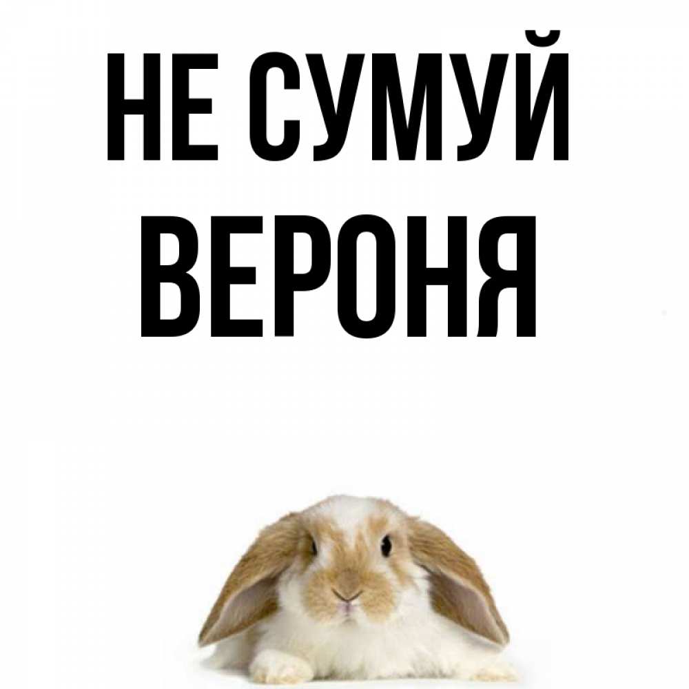 Открытка на каждый день з підписом, Вероня Не сумуй коричнево белый заяц с большими ушками Прикольна листівка з побажанням онлайн скачати безкоштовно 