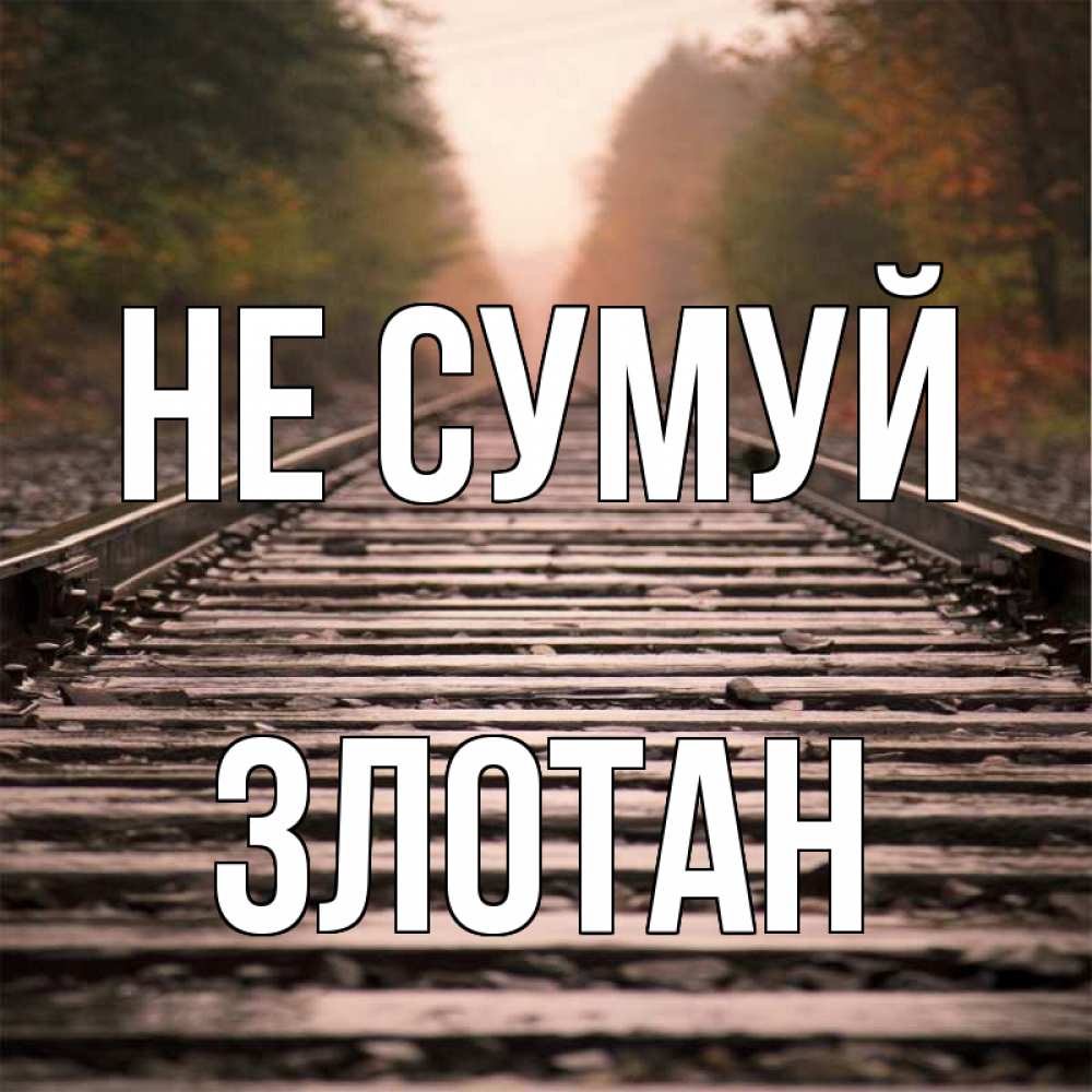 Открытка на каждый день з підписом, Злотан Не сумуй лес и железная дорога Прикольна листівка з побажанням онлайн скачати безкоштовно 