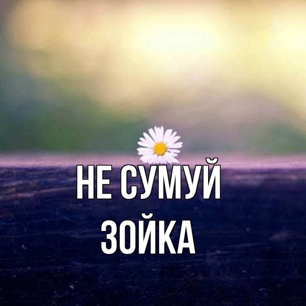 Открытка на каждый день з підписом, Зойка Не сумуй красота Прикольна листівка з побажанням онлайн скачати безкоштовно 