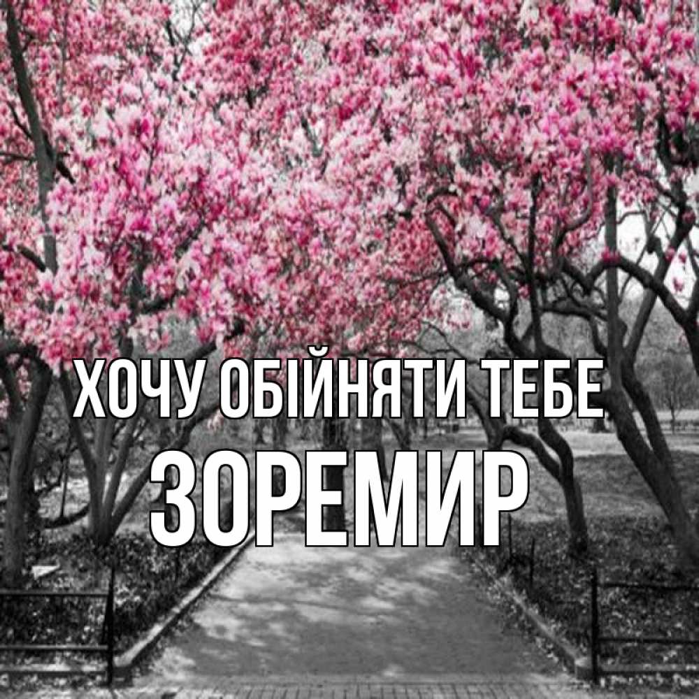 Открытка на каждый день з підписом, Зоремир Хочу обійняти тебе обработанное фото Прикольна листівка з побажанням онлайн скачати безкоштовно 