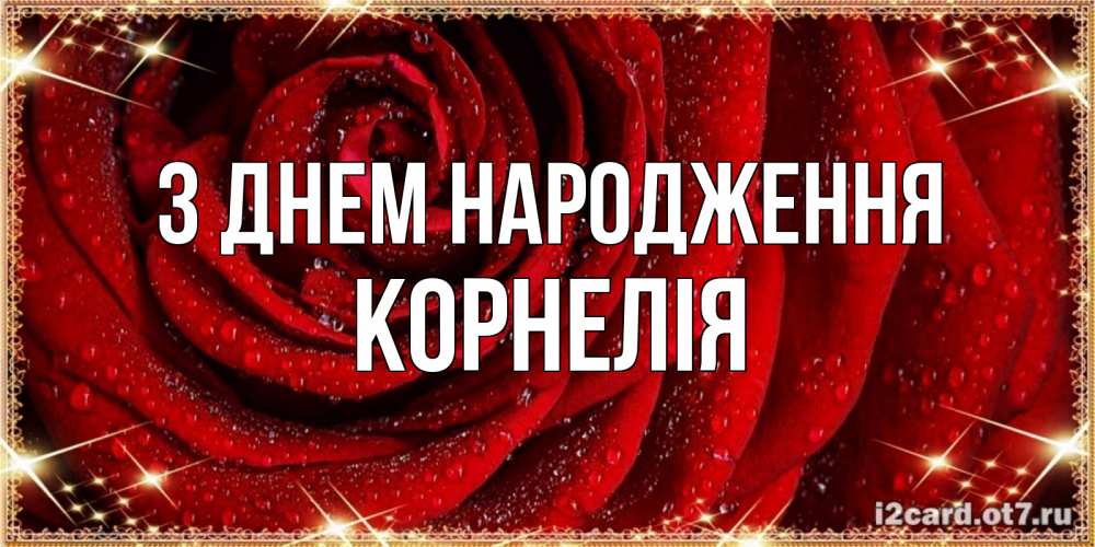 Открытка на каждый день з підписом, Корнелія З Днем народження роса на розе блестящая в лучах солнца Прикольна листівка з побажанням онлайн скачати безкоштовно 
