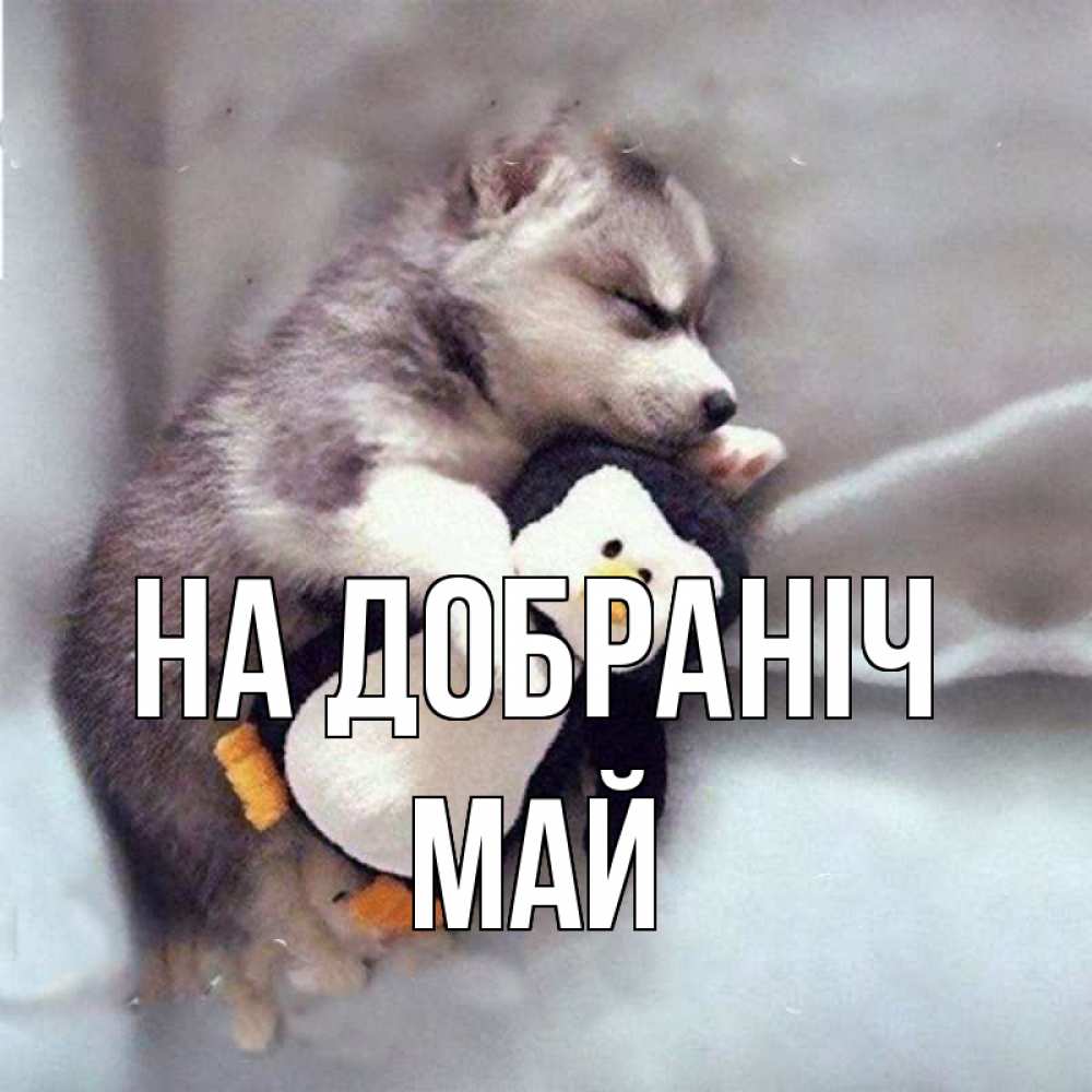 Открытка на каждый день з підписом, Май На добраніч обнимашки щенка и пингвина Прикольна листівка з побажанням онлайн скачати безкоштовно 