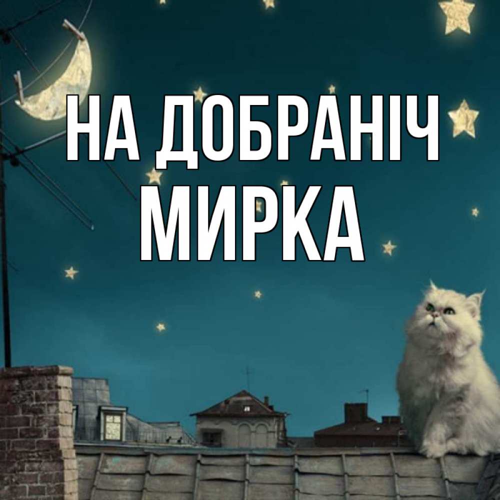 Открытка на каждый день з підписом, Мирка На добраніч белый кот сидит на крыше Прикольна листівка з побажанням онлайн скачати безкоштовно 