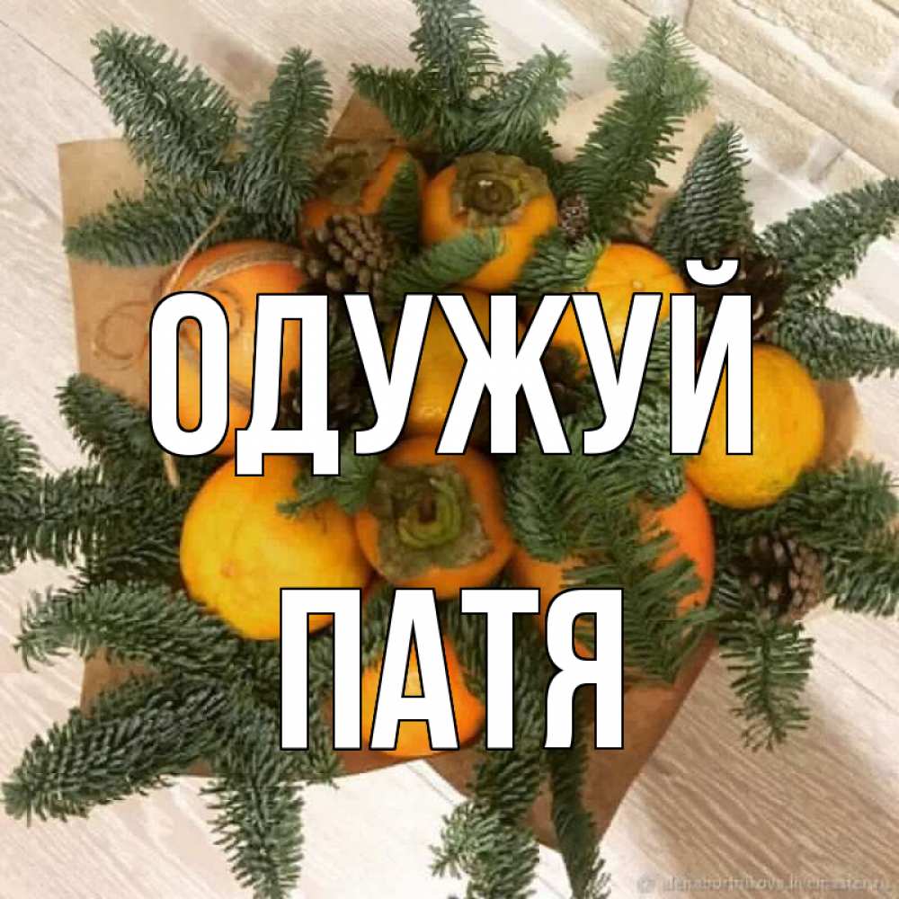 Открытка на каждый день з підписом, Патя Одужуй апельсины и хурьма Прикольна листівка з побажанням онлайн скачати безкоштовно 