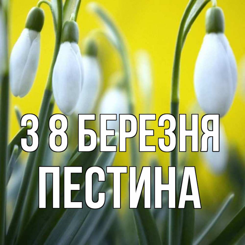 Открытка на каждый день з підписом, Пестина З 8 БЕРЕЗНЯ весенние цветы Прикольна листівка з побажанням онлайн скачати безкоштовно 
