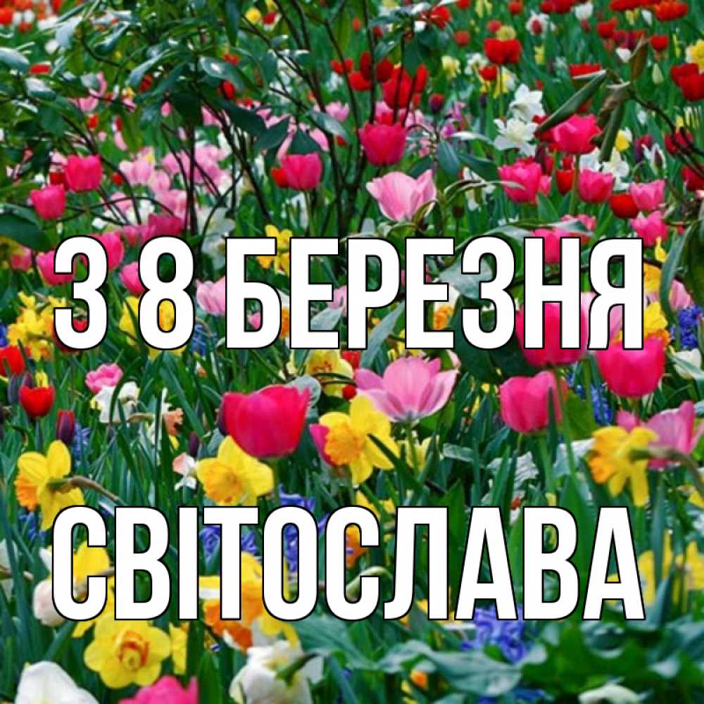 Открытка на каждый день з підписом, Світослава З 8 БЕРЕЗНЯ с международным женским днем поздравления для женщины Прикольна листівка з побажанням онлайн скачати безкоштовно 