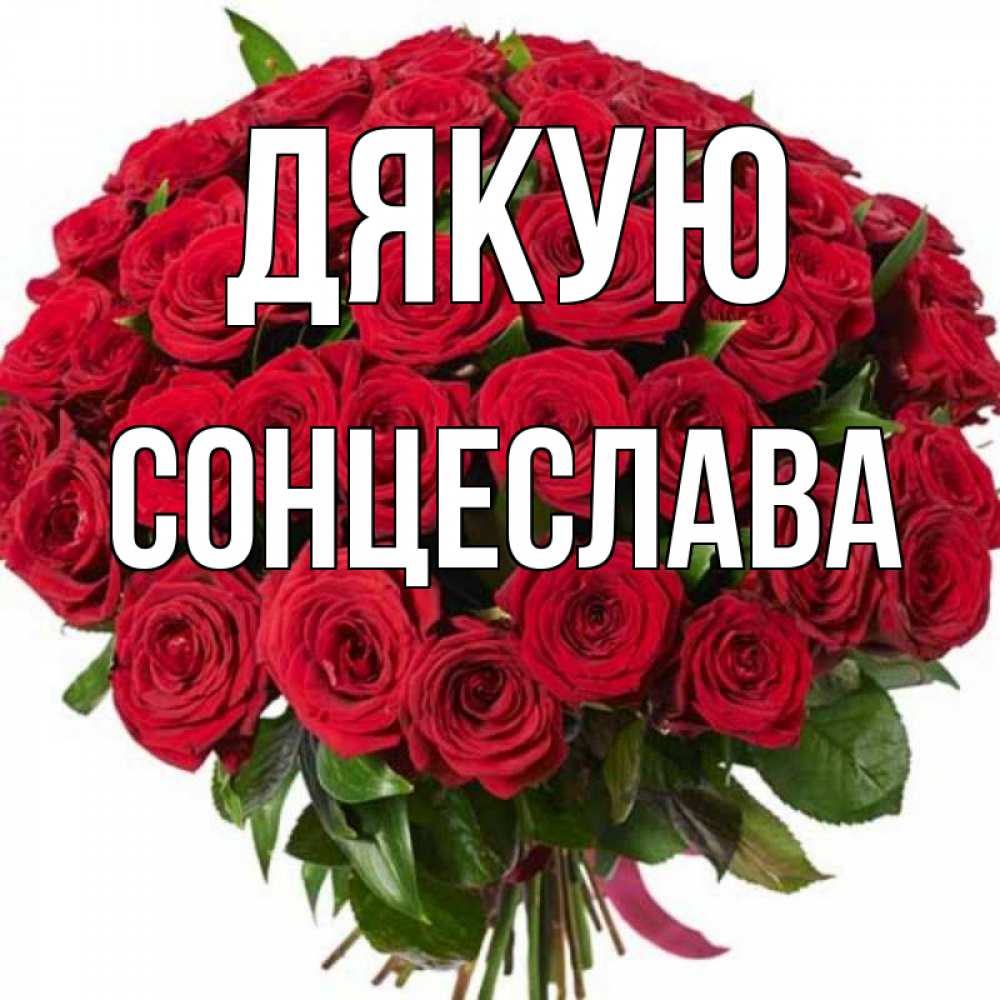 Открытка на каждый день з підписом, Сонцеслава Дякую букет красных роз Прикольна листівка з побажанням онлайн скачати безкоштовно 