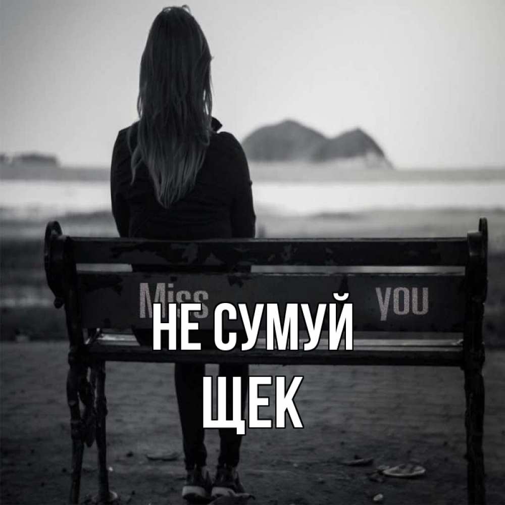 Открытка на каждый день з підписом, Щек Не сумуй смотрит на скалы Прикольна листівка з побажанням онлайн скачати безкоштовно 