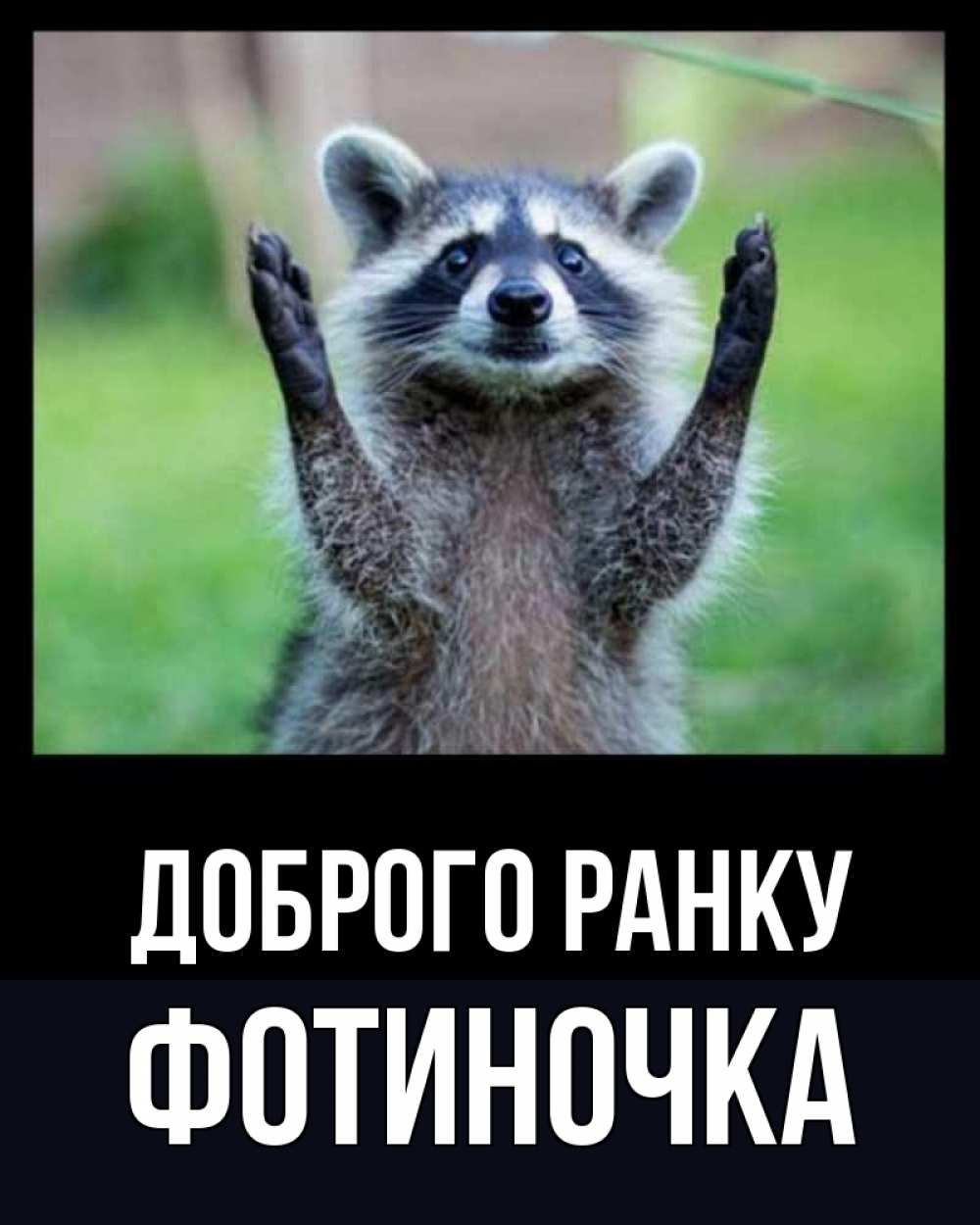 Открытка на каждый день з підписом, Фотиночка Доброго ранку хорошее настроение утречком Прикольна листівка з побажанням онлайн скачати безкоштовно 