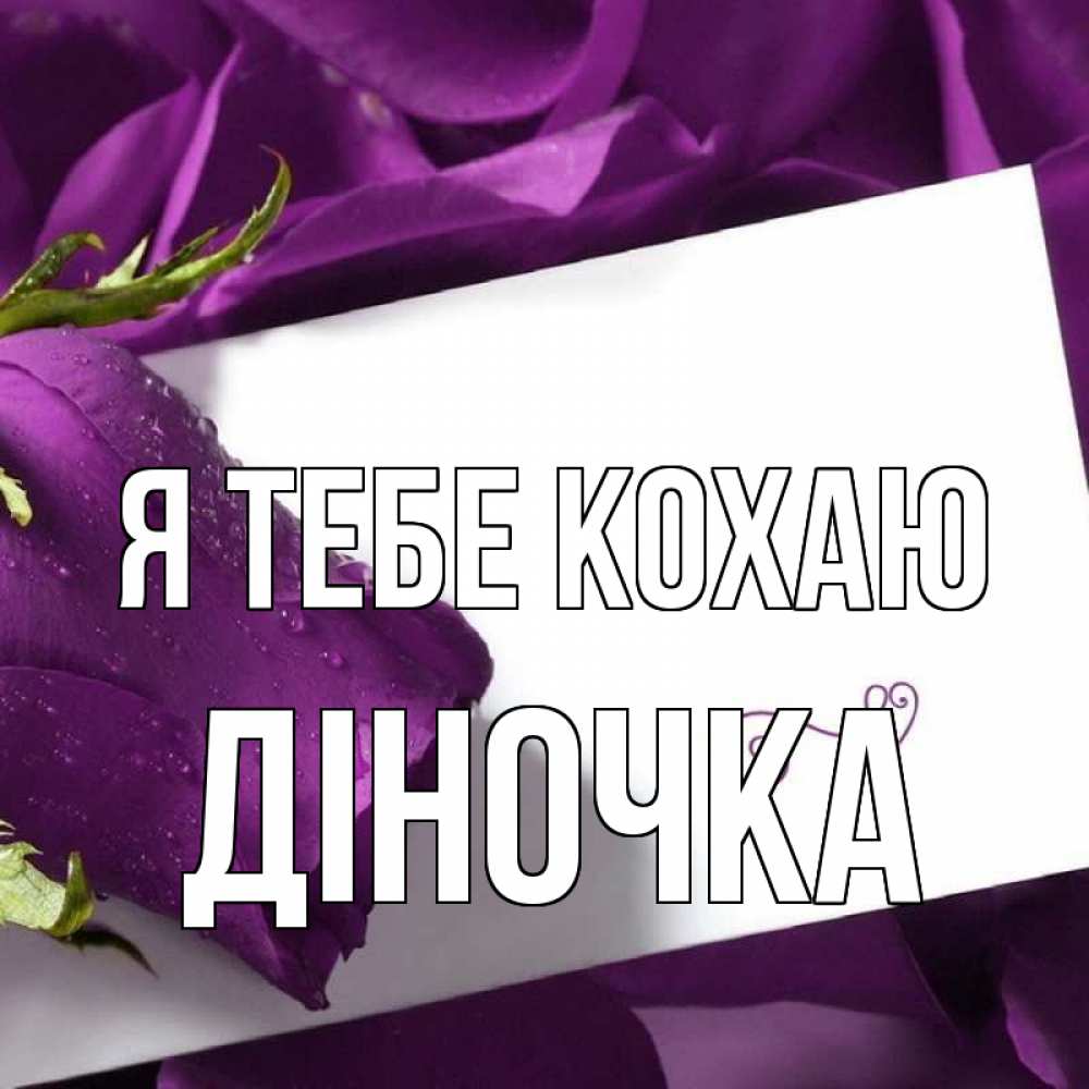 Открытка на каждый день з підписом, Діночка Я тебе кохаю роза Прикольна листівка з побажанням онлайн скачати безкоштовно 