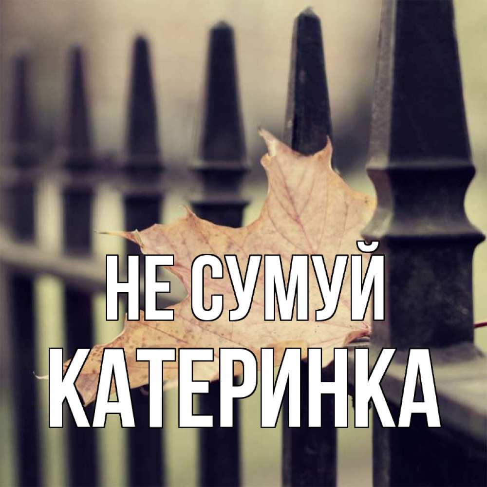 Открытка на каждый день з підписом, Катеринка Не сумуй лист клена Прикольна листівка з побажанням онлайн скачати безкоштовно 