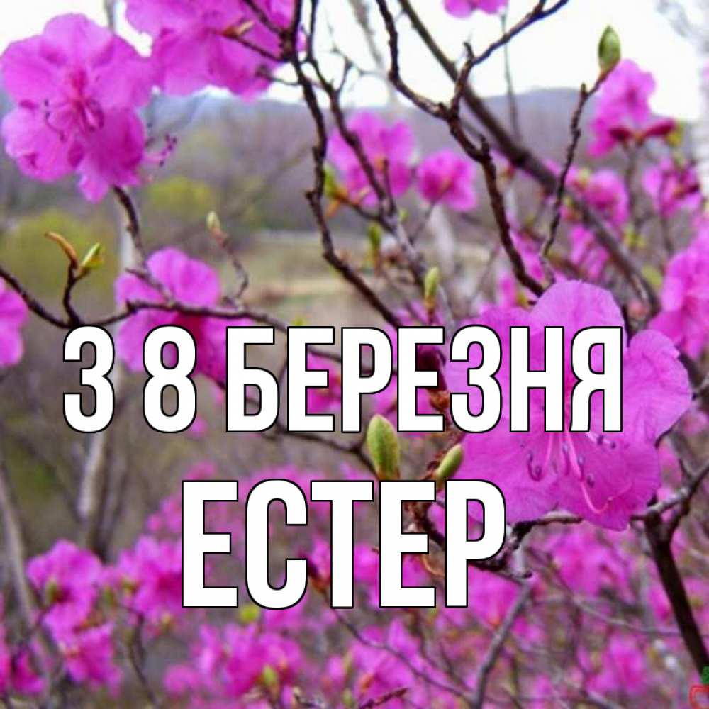 Открытка на каждый день з підписом, Естер З 8 БЕРЕЗНЯ международный женский день Прикольна листівка з побажанням онлайн скачати безкоштовно 