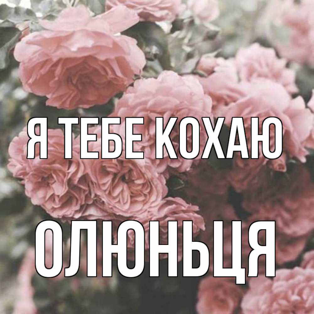 Открытка на каждый день з підписом, Олюньця Я тебе кохаю розы 3 Прикольна листівка з побажанням онлайн скачати безкоштовно 